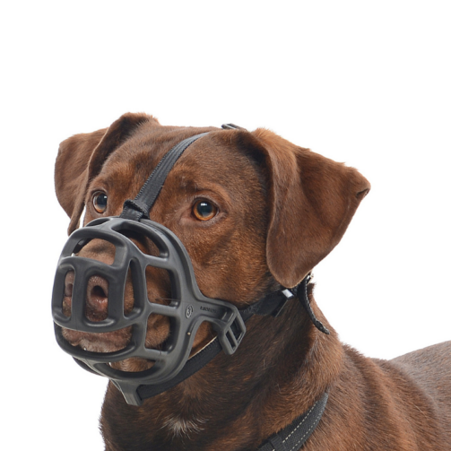 Muselière Baskerville