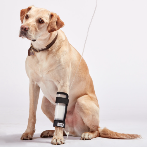 Bandage de perfusion 1